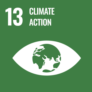 svg 13 climate action